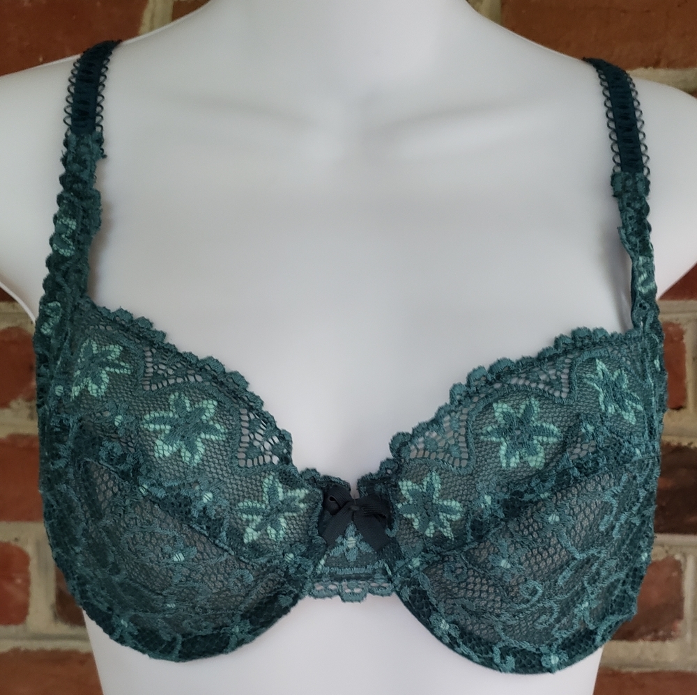 Passionata Green Lace Embroidered Sheer Bra 34C